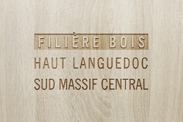 FILIÈRE-BOIS